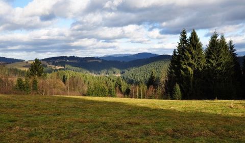 Turzovka – Spoluvlastnícky podiel na lesoch a lúkach