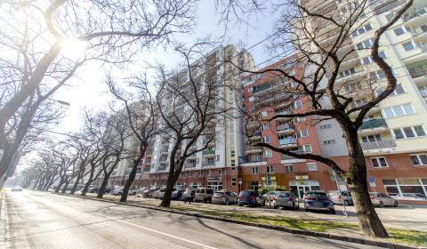 Parkovacie státie v podzemnej garáži, JÉGÉHO ALEJ