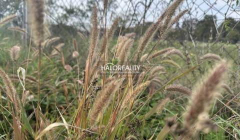 Predaj, pozemok pre rodinný dom   1213 m2 Zlaté Mora...