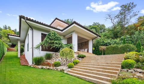 Moderný rodinný dom pri lese s vlastným potokom