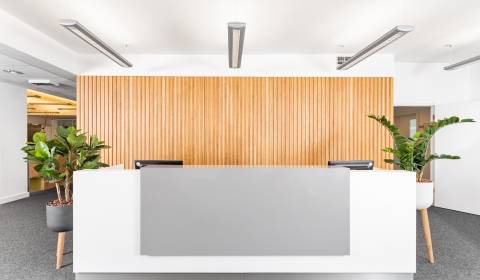 Virtuálna adresa v oblasti Regus Europeum City Center