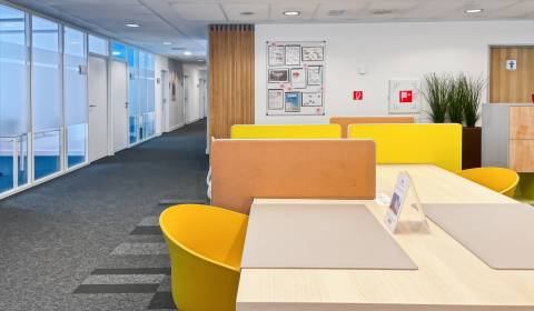 Komplexný prístup do coworkingového priestoru v oblasti Regus Europeum