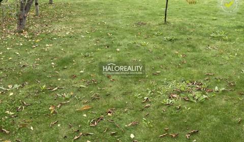 Predaj, pozemok pre rodinný dom   600 m2 Prešov, Sol...