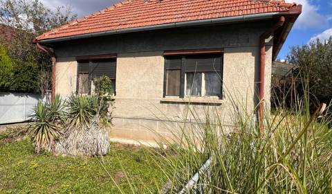 Dom s veľkým pozemkom a vinicou – ideálny na chalupárčenie aj trvalé b