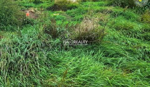 Predaj, pozemok pre rodinný dom   824 m2 Cífer