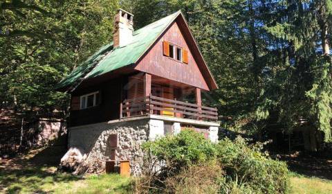 Chata v úžasnom lesnom prostredí Karpát nad obcou Limbach s vlastným p