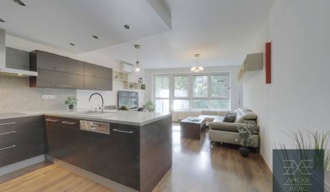 EXKLUZÍVNE - PRENÁJOM, 3-IZBOVÝ BYT S PARKOVANÍM, RUŽINOV