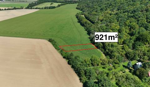 Nová Ves nad Váhom – Pozemok v 1/1 pri záhradkárskej osade