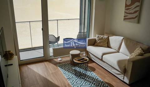 PRENAJATÉ - PRENÁJOM, ROŽŇAVSKÁ, NOVÉ MESTO - 1 IZBOVÝ BYT