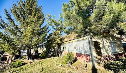 BRANOVO RODINNÝ DOM