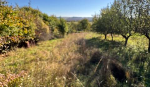 Na predaj chatka na rekonštrukciu s veľkým pozemkom – Veľké Turovce