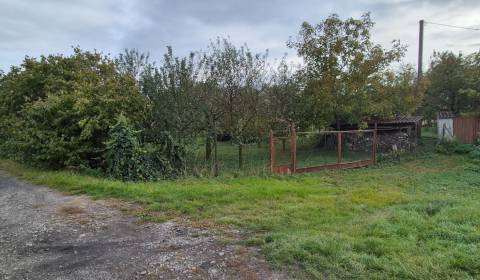 Na predaj výborná záhrada 1640 m2 s domom - chatkou - Pačérok Kolárovo