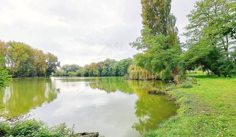 Malý domček pri jazere s krásnym prostredím navôkol