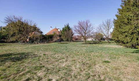 - PREDAJ - STAVEBNÝ POZEMOK - KÚTNIKY - DUNAJSKÁ STREDA