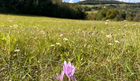 Brusno, Pohronský Bukovec – 4.869 m2 LESOV (Urbáru) – PREDAJ
