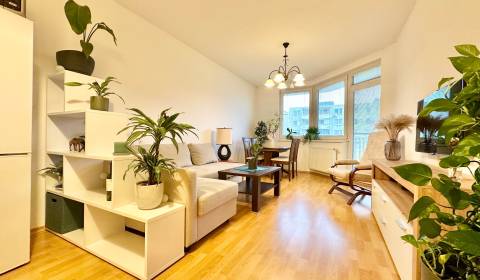 – PRENAJOM – 2 IZBOVÝ BYT 50m2 – JEGEHO ALEJ – RUŽINOV 