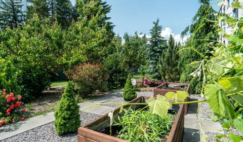 I Na predaj krásny 3i rodinný dom v Bánovciach nad Bebravou