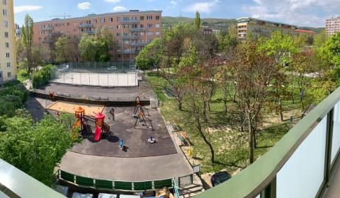 ViNi real – Hľadáme pre hotovostného klienta byt na kúpu v Petržalke 