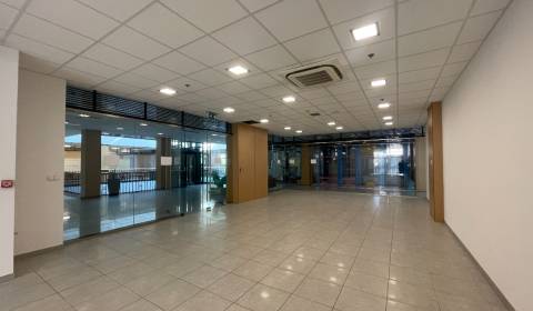 **Na prenájom: Moderné obchodné priestory v centre Galanty!** 93m2