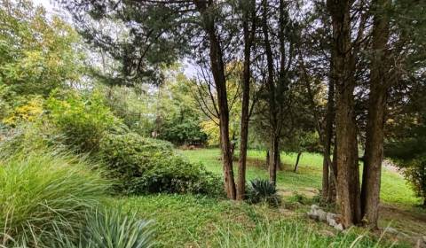 Investičná príležitosť, pozemok s výhľadom na Zemplínsku šíravu