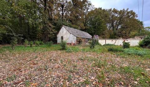 Starý domček pod lesom – miesto s dušou a pokojom (pri Kolárove, len 7