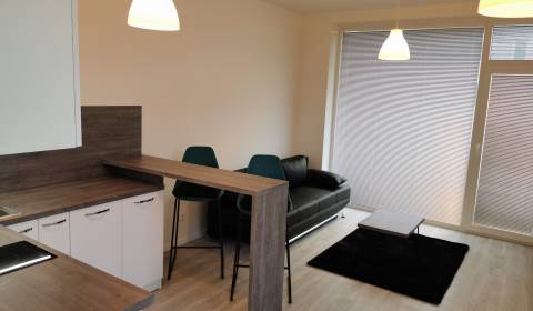 Zariadený 1 izb. byt s parkingom v novostavbe Slávičia ul., Miloslavov