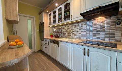 Na predaj 4 izb. byt v novostavbe s garážou, Trenčianske Stankovce