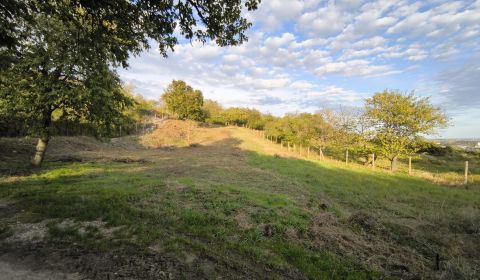 Predaj : Pozemok v Rači 700m2