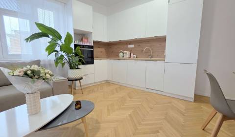 JEDINEČNÝ 2i byt, CENTRUM, BALKÓN, KLÍMA, VÝHĽAD, Špitálska ulica