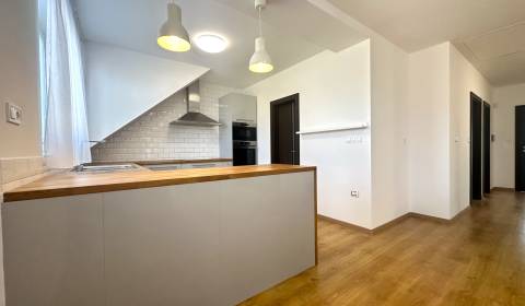 RADO| Bývanie a podnikanie pod jednou strechou v centre Bolešova!