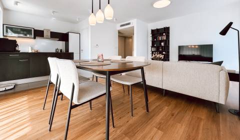 Priestranný 2 izbový byt s terasou a garážou - Horský park