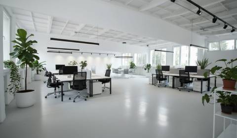 1-podlažná budova v Ružinove (Narcisova ul.) 230 m2, otvorený priestor