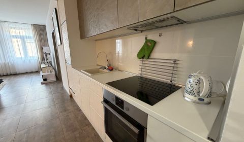 Veľký 96 m2  2 izbový byt Topoľčany Centrum / možnosť dokúpiť garáž 