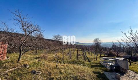Na predaj  vinica v krásnej lokalite - 895 m2 - Nitra
