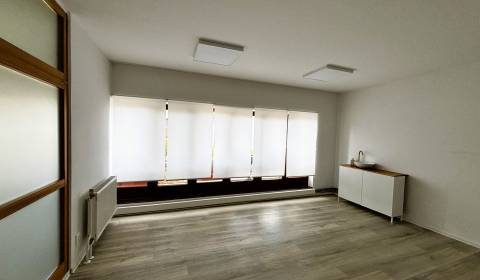 OBCHODNÝ PRIESTOR V CENTRE TRENČÍNA, 25 m2, poschodie