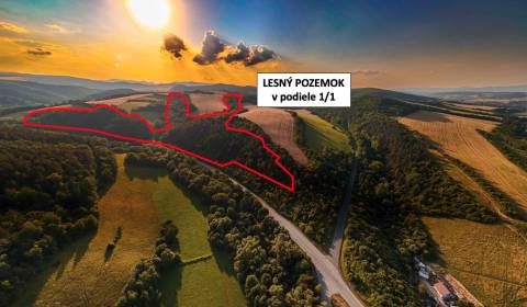 Rokycany – 125.140 m2 LESNÝ POZEMOK v podiele 1/1