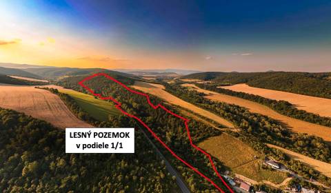 Rokycany – 70.000 m2 LESNÝ POZEMOK v podiele 1/1