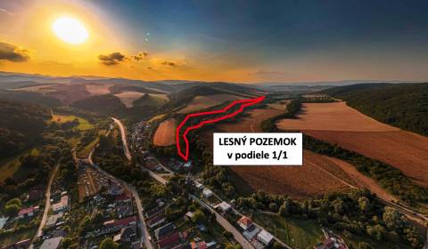 Rokycany – 38.000 m2 LESNÝ POZEMOK v podiele 1/1