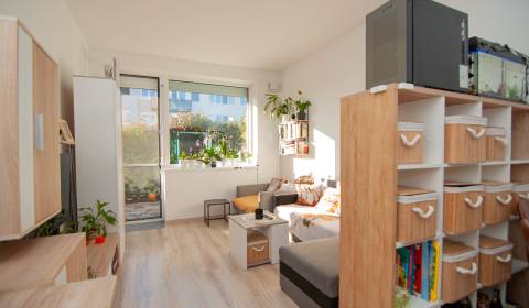 Predáme 2 izb byt s predzahrádkou v Miloslavove