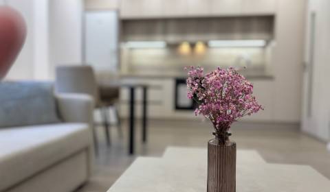 Pekný 1,5 izb byt na prenájom na Zálužickej ulici v Ružinove - Apartim