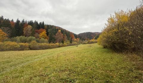 Na predaj rekreačný pozemok Lazy pod Makytou- Čertov 34.442 m2