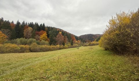 Na predaj rekreačný pozemok Lazy pod Makytou- Čertov 34.442 m2