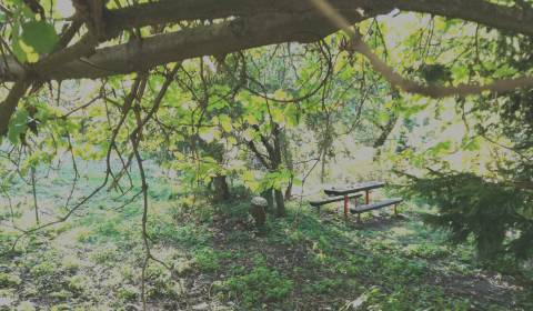 Kúpime záhradu v Banskej Bystrici, časť Uhlisko - Srnková