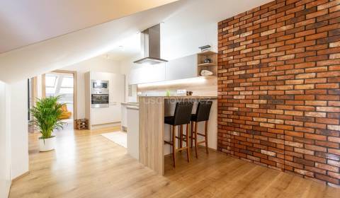 3 IZBOVÝ BYT V CENTRE MESTA, VRÁTNA UL., KOŠICE