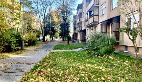 Veľký 1-izbový byt s vlastným ohrevom vody, Komárno