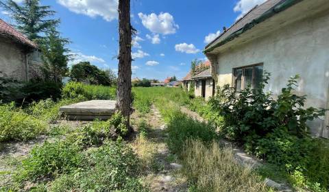 Veľký pozemok s rodinným domom v centre obce Orechová Potôň