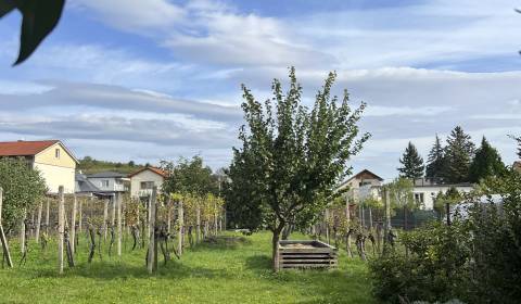 Rodinný dom  Modra - Kráľová