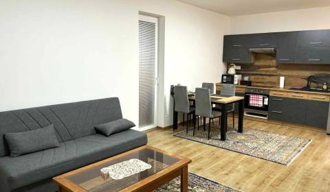 PRENÁJOM - 2 izbový byt,  park.miesto, ul. Dilongova, Prešov