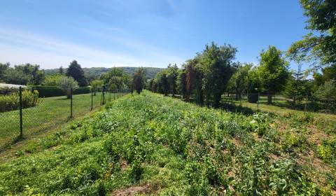 Veľkorysý stavebný pozemok v obci Edelstal 