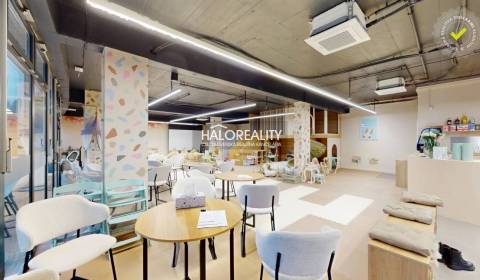 Predaj, obchodný priestor Bratislava Nové Mesto, Tup...